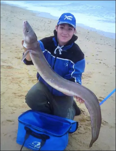 Ce poisson est-il un congre ?