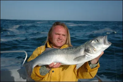 Ce poisson est-il un bar ?