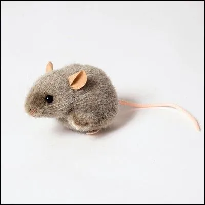 Que signifie le gris ?