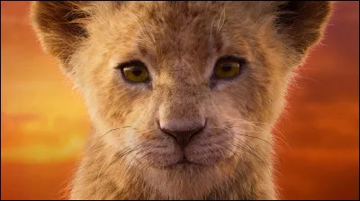 Qui est Sarabi dans ''le Roi Lion'' ?