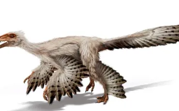 Quiz Dinosaures