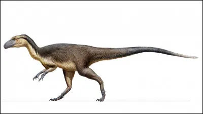 Comment s'appelle ce dinosaure ?