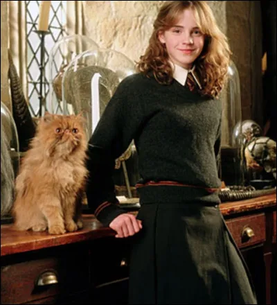 Quel est le nom du chat d'Hermione Granger ?