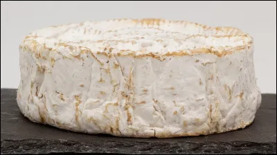 Qui est le "p&egrave;re" du savant Cosinus ?