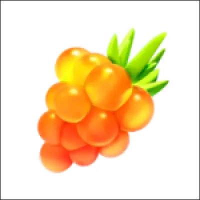 Baie Framby Dorée sert à ... dans Pokémon Go.