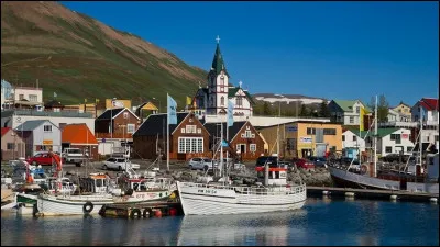 Dans quel pays se trouve Husavik, petite ville de 2 300 habitants, consid&eacute;r&eacute;e comme la capitale de l'Europe pour l'observation des baleines ?