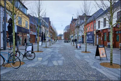 Dans quel pays se situe Herning, ville de 90 000 habitants ?