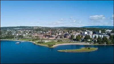 Dans quel pays se trouve Hamar, ville de 30 000 habitants situ&eacute;e sur les rives du lac Mj&oslash;sa ?