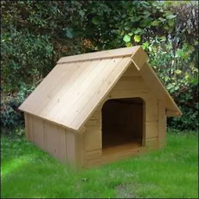 Dans quel endroit aimerais-tu vivre ?