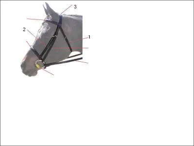 Les parties n 1-2-3 sont :