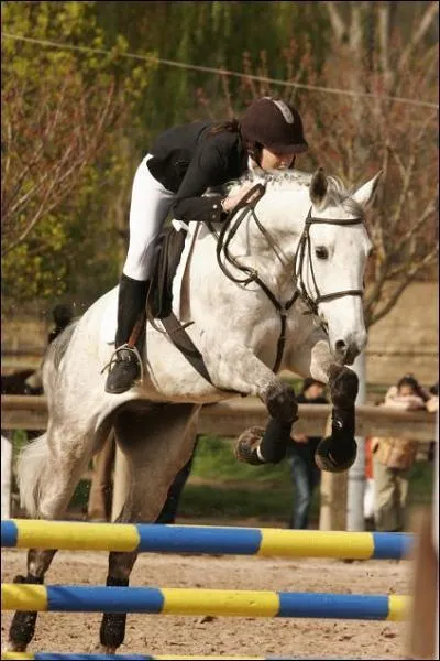 Ce cheval saute :