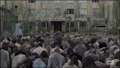 Combien y a-t-il de saisons de "The Walking Dead" ?