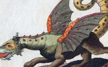 Quiz Les royaumes de feu