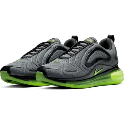 Ces chaussures se nomment les Air VaporMax.