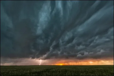 Qui a interprété le titre "Shelter from the storm" ?
