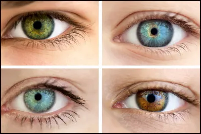 Comment sont les yeux de l'homme parfait selon toi ?