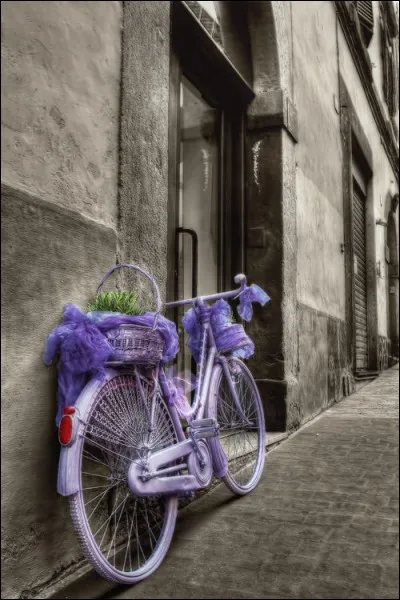 Aidez-vous de l'image pour retrouver le titre du roman de Robert Sabatier :