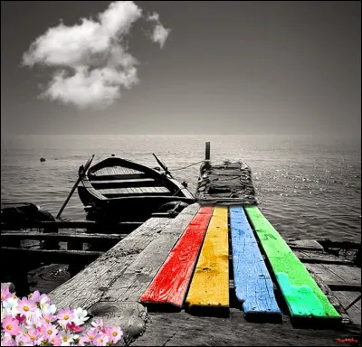 Qui a écrit "La mélancolie, c'est le bonheur d'être triste" dans son livre "Les Travailleurs de la mer" ?