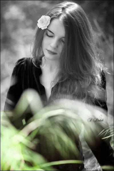 Qui chantait "Quand tout est gris, la peine est mon amie, un long suicide acide, je t'aime Mélancolie" ?