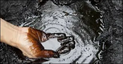 Le préjudice écologique :