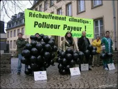 Le principe du pollueur-payeur dispose que :
