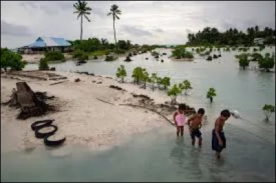 Les réfugiés climatiques sont définis comme :