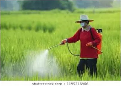 Les néonicotinoïdes sont des substances insecticides utilisées pour :