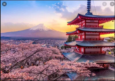 Sur quel continent se situe le Japon ?