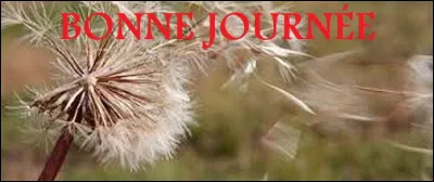 "Le Vent dans les saules" est un roman, une BD et un film. Cela étant, retrouvez les saules.