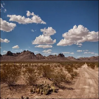 Où se situe géographiquement la " Zone du silence " ?