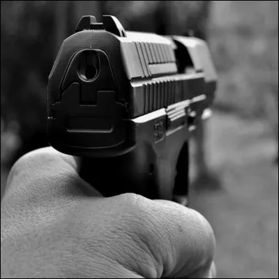 Quel acteur interprète le personnage principal du film " Le silencieux " ?