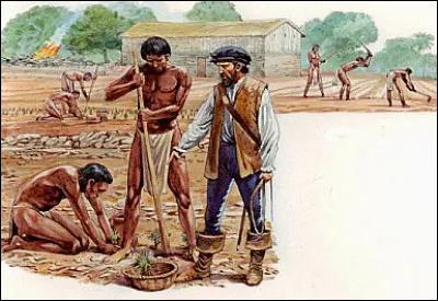 Comment se nomme le système institutionnel issu de la Reconquista et reproduit dès 1503 en Amérique octroyant un nombre d'Indiens à un colon qui les protège en échange d'un tribut ?