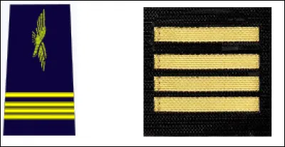 À quel grade correspond cette image ?