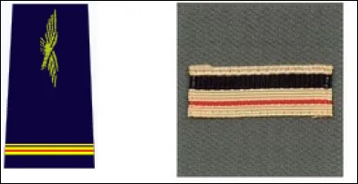 À quel grade correspond cette image ?