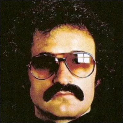 Quelle chanteuse interpr&egrave;te l'hymne disco "I Feel Love" compos&eacute; par Giorgio Moroder ?