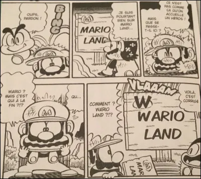 De quel jeu s'agit-il, plus précisément ?