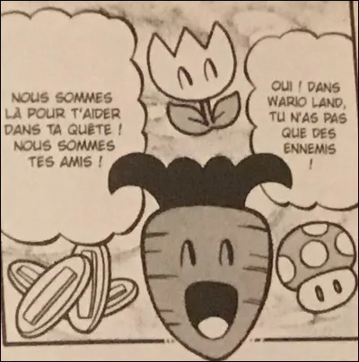 La carotte fait transformer Mario en