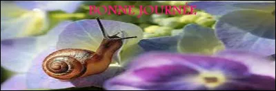 Un magnifique tissu apparenté au ... est nommé damassé.