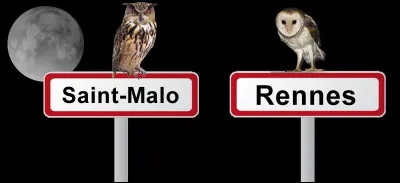 Qui est le plus proche du Mont-Saint-Michel ?