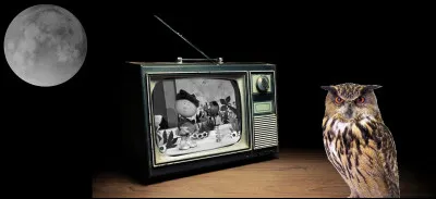 Quel est le nom de cette série ?