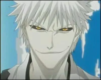 Quelle est cette partie d'Ichigo ?