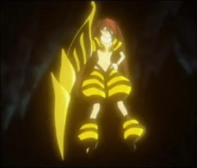 Quel est le nom de ce zanpakuto ?