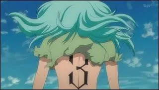 Quel est le nom de cette espada ?