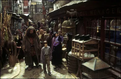 Quel magasin du chemin de Traverse préfères-tu ?