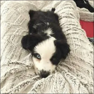 Et son deuxième s'appelle ...