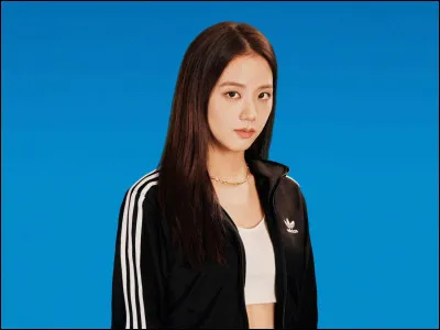 Quel est le r&ocirc;le de Jisoo dans le groupe ?