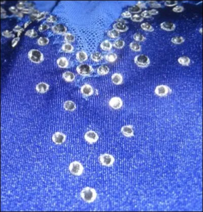 Comment appelle-t-on ce qui brille sur les justaucorps ? (Voir photo)