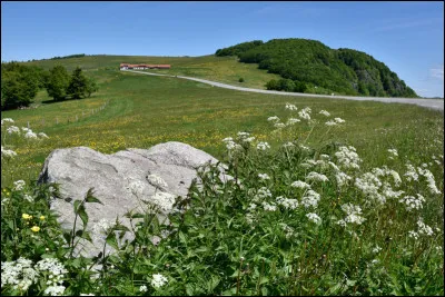 Qui est le maire de Belfort ?