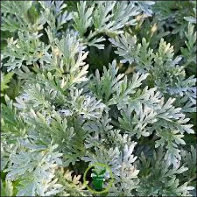 Cochez la bonne réponse !