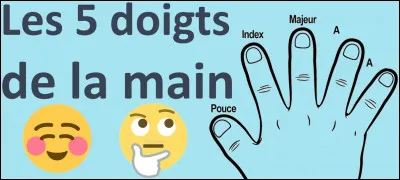 Quel est le nom du plus petit doigt de la main ?